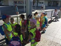 Náhodná fotogalerie