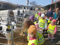 Náhodná fotogalerie