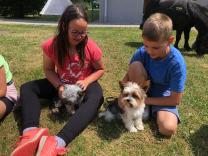 Náhodná fotogalerie