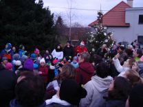 Náhodná fotogalerie