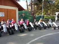 Náhodná fotogalerie