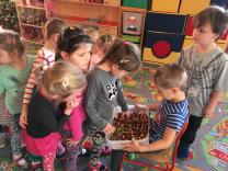 Náhodná fotogalerie